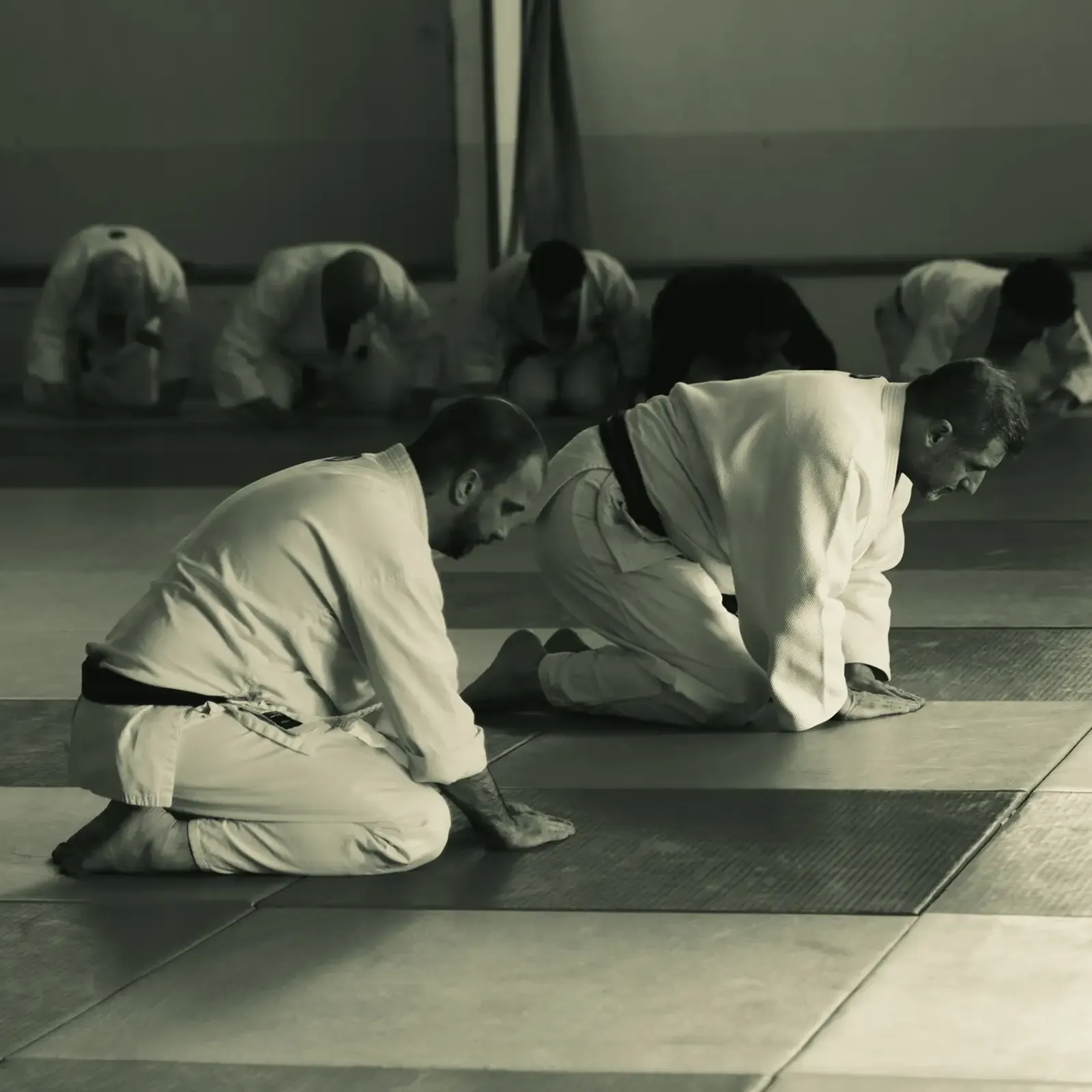 Saluto tradizionale durante l'allenamento nel dojo
